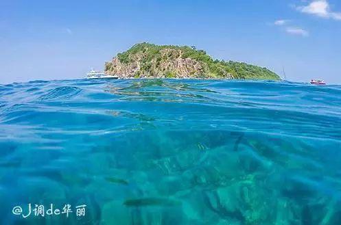雪天女子骑车摔倒,索性躺地上自拍,在哪里跌倒就在哪里拍照