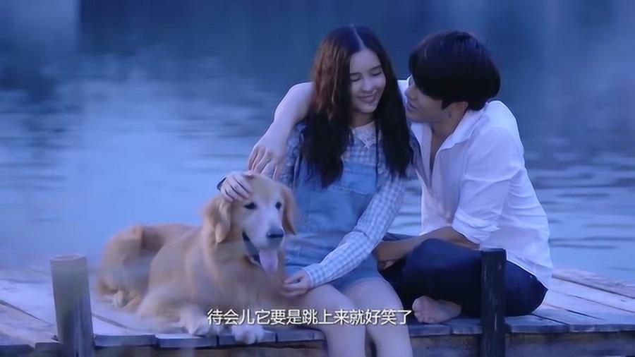 植物大战僵尸12