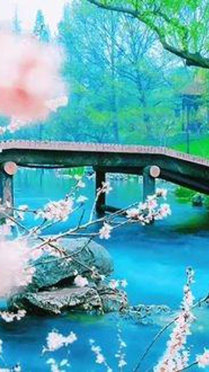 荒野大镖客救赎2